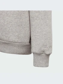 Худи и свитшоты Adidas модель IL4931 Фото