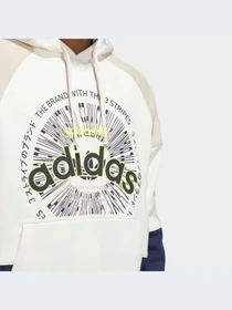 Худі та світшоти Adidas Graphics модель IL4700 Фото