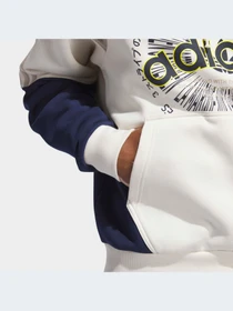 Худі та світшоти Adidas Graphics модель IL4700 Фото