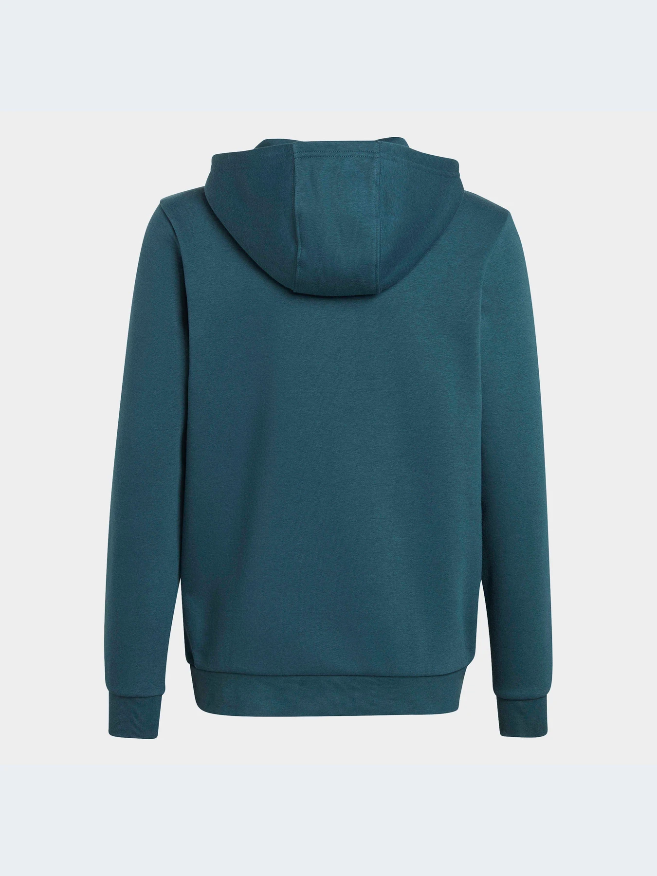 Худи и свитшоты Adidas Adicolor модель IJ9717 Фото