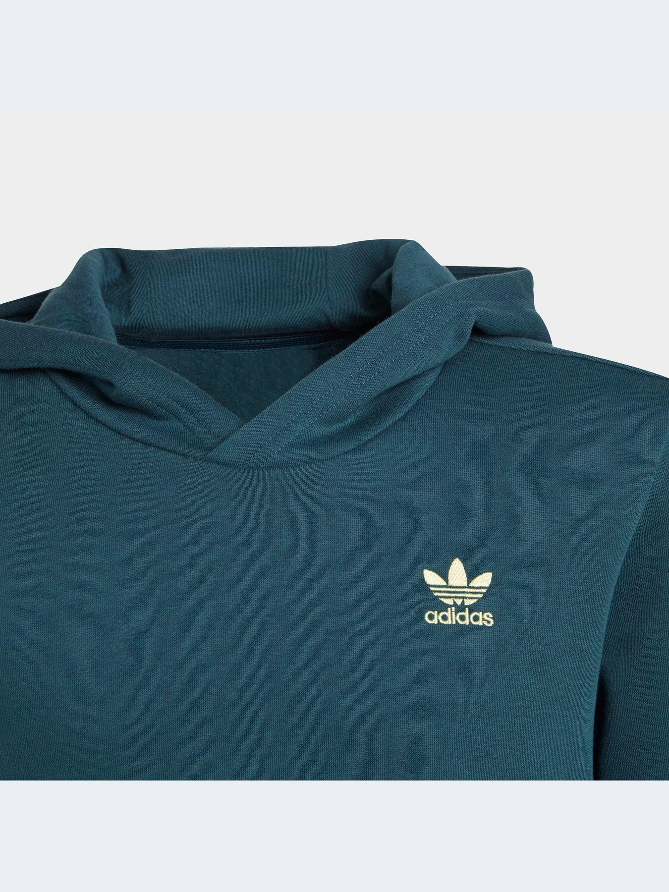 Худи и свитшоты Adidas Adicolor модель IJ9717 Фото
