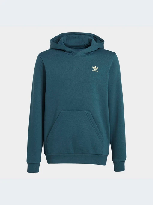 Худи и свитшоты Adidas Adicolor модель IJ9717 Фото