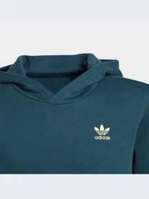 Худи и свитшоты Adidas Adicolor модель IJ9717 Фото