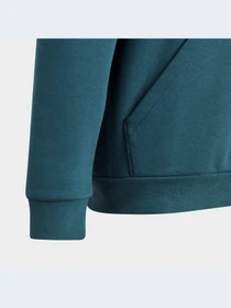 Худи и свитшоты Adidas Adicolor модель IJ9717 Фото
