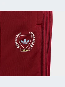 Брюки Adidas Graphics модель IJ0752 Фото