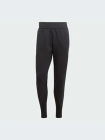 Брюки Adidas ZNE модель IN5102 Фото