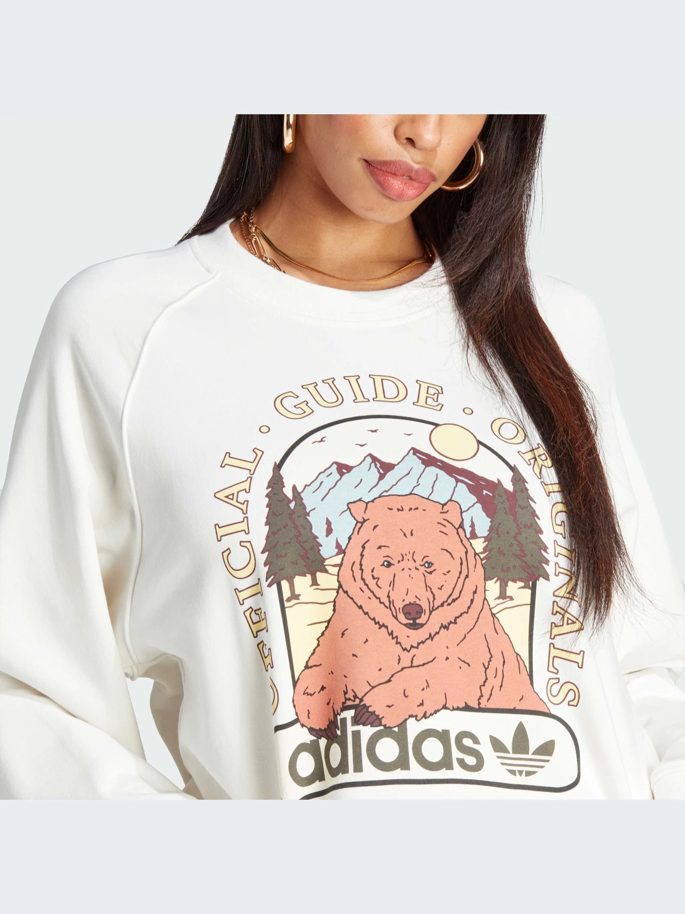 Худи и свитшоты Adidas Graphics модель IL2426 Фото