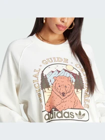 Худи и свитшоты Adidas Graphics модель IL2426 Фото