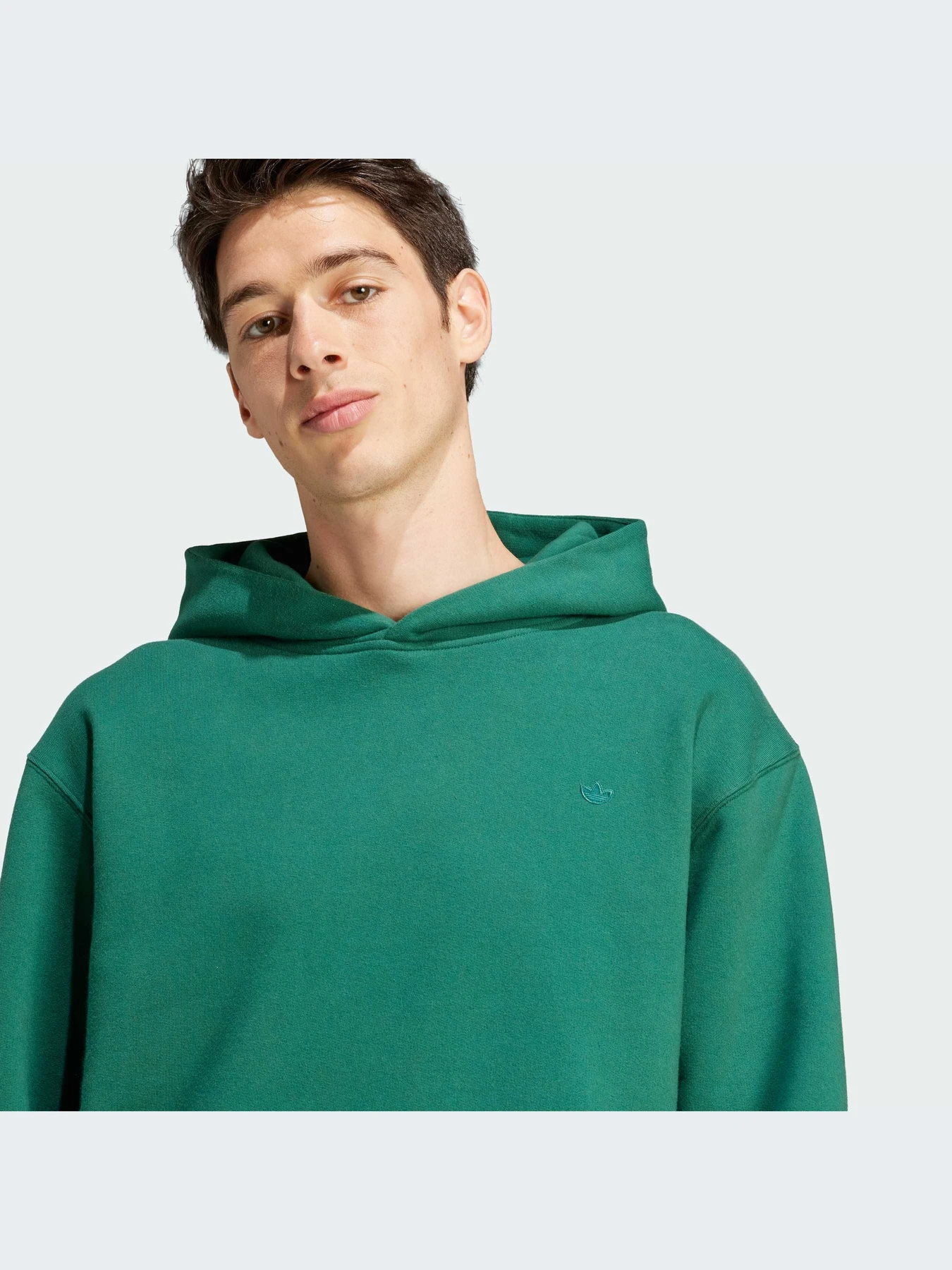 Худи и свитшоты Adidas Adicolor модель IM4403 Худи и свитшоты Adidas Adicolor модель IM4403 Фото