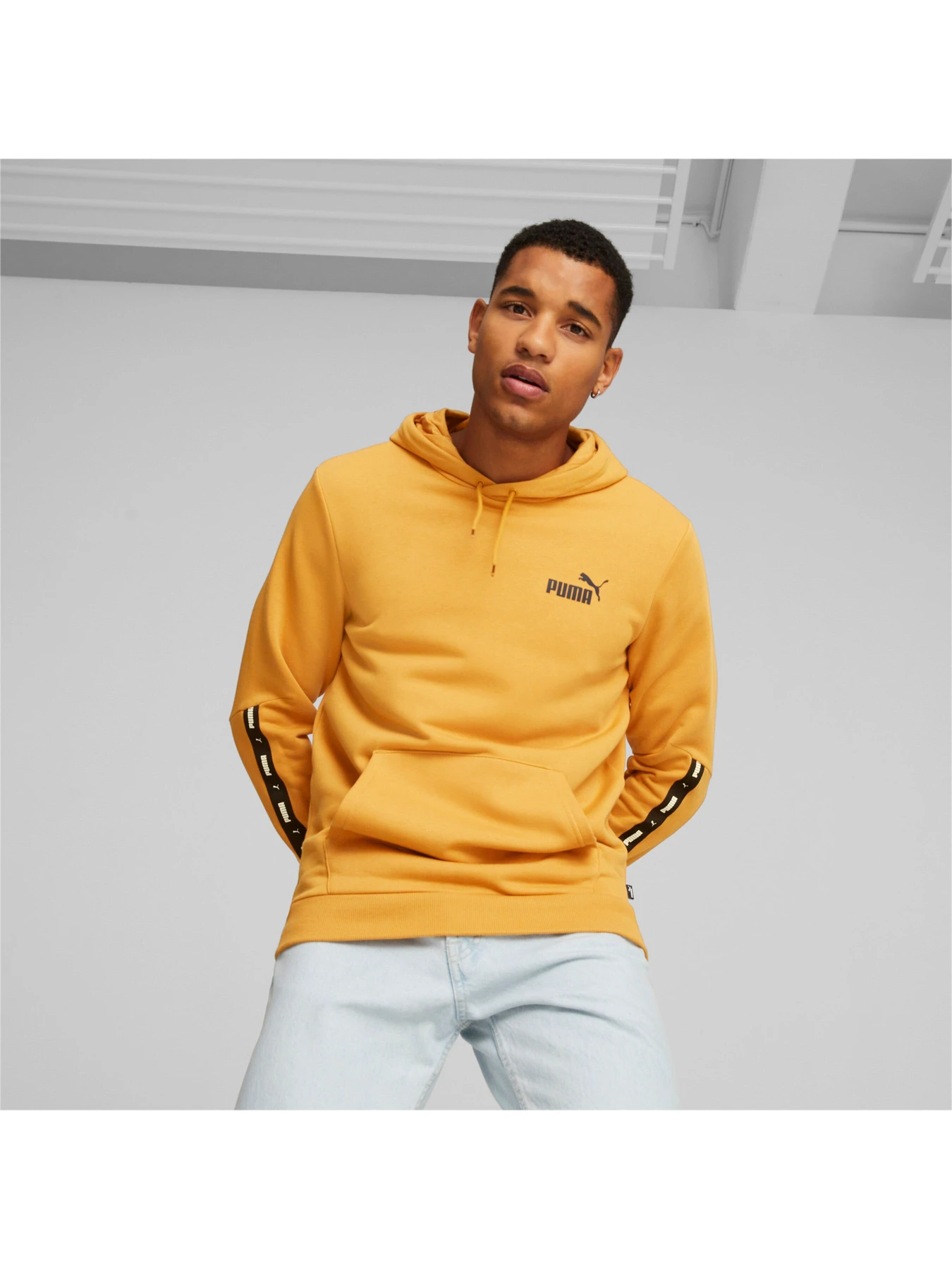 Худи и свитшоты PUMA ESS+ Tape Hoodie модель 847385 Худи и свитшоты PUMA ESS+ Tape Hoodie модель 847385 Фото