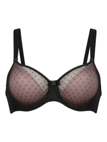 Нижнее белье Anita модель 5209Eve_Black Фото