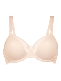 Нижнее белье Anita модель 5209Eve_Rose Фото