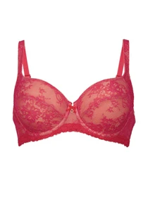 Нижнее белье Anita модель 5215Abby_Cherry Фото