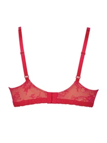 Нижнее белье Anita модель 5215Abby_Cherry Фото