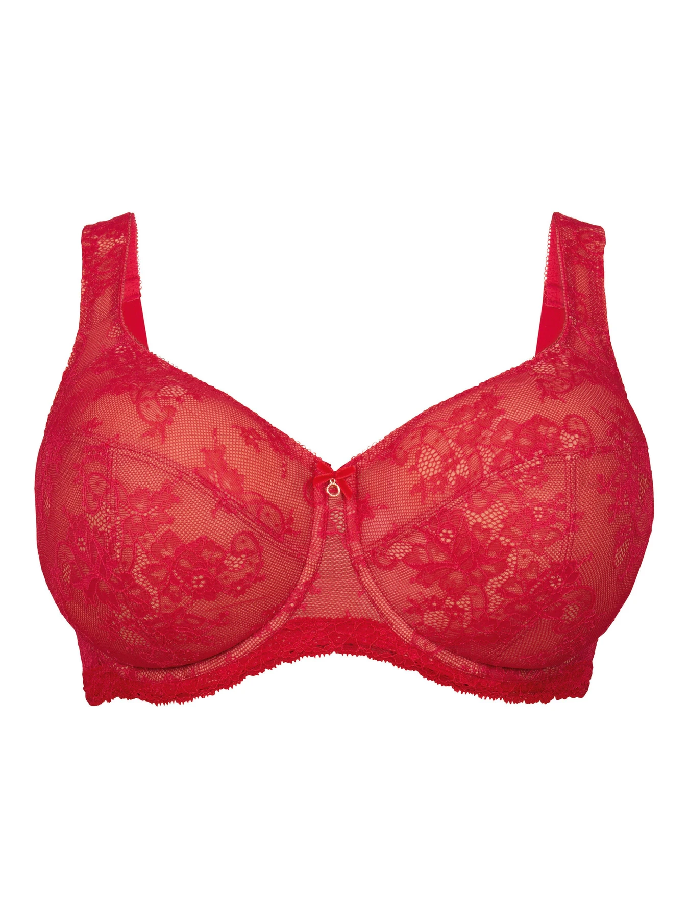 Нижнее белье Anita модель 5216Abby_Cherry Нижнее белье Anita модель 5216Abby_Cherry Фото