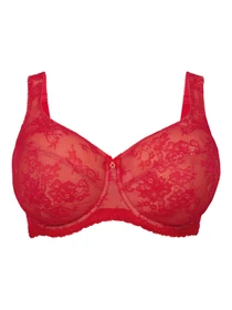 Нижнее белье Anita модель 5216Abby_Cherry Фото