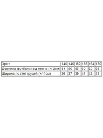 Футболки и поло Носи своє модель 6021-001-33-2-svtlo-buzkovij-romashka Фото