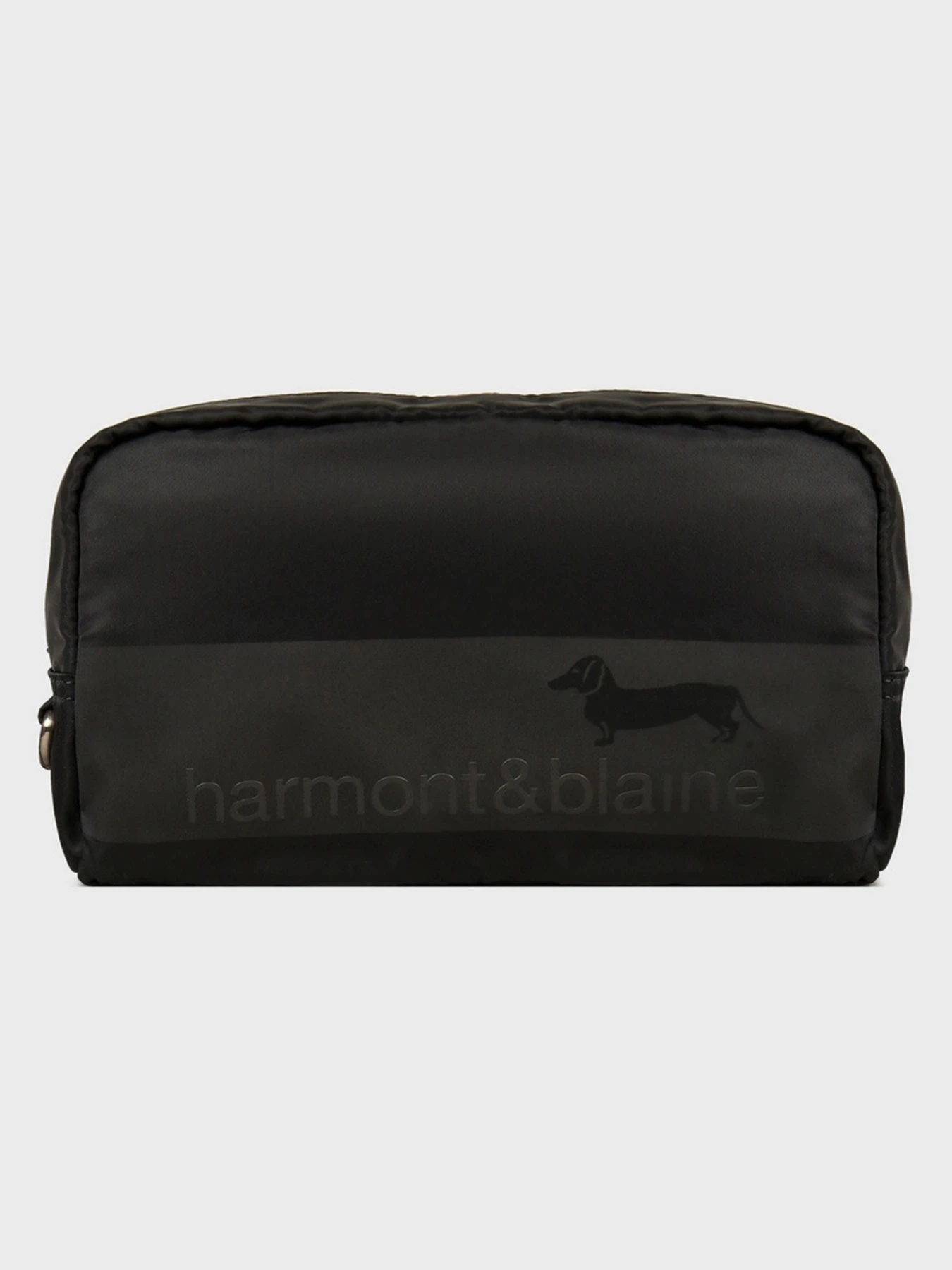 Сумки Harmont&Blaine модель H2DPMH04006A999 Фото