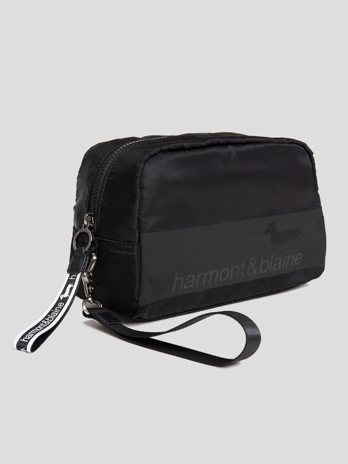 Сумки Harmont&Blaine модель H2DPMH04006A999 Фото