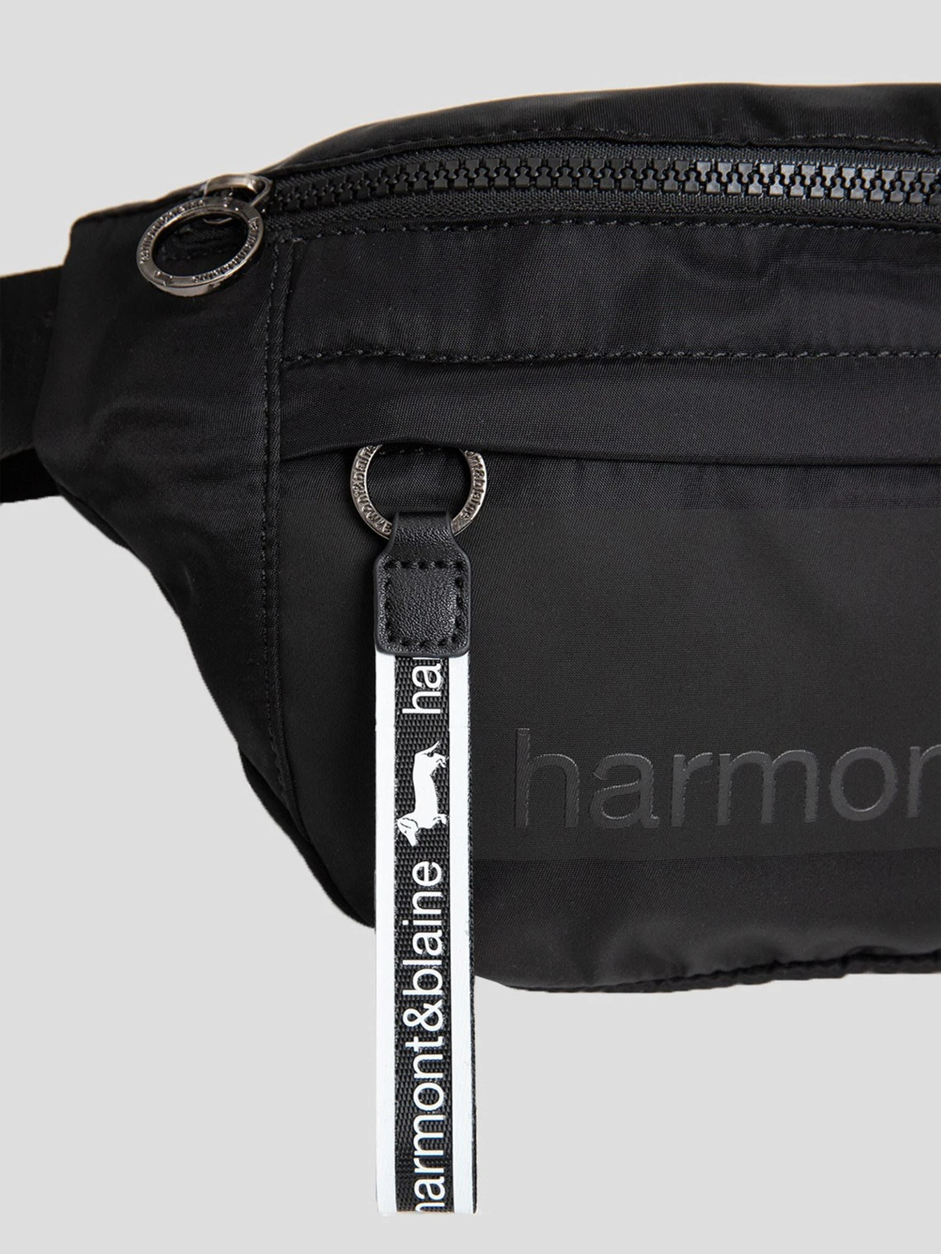 Сумки Harmont&Blaine модель H2DPMH040032999 Фото