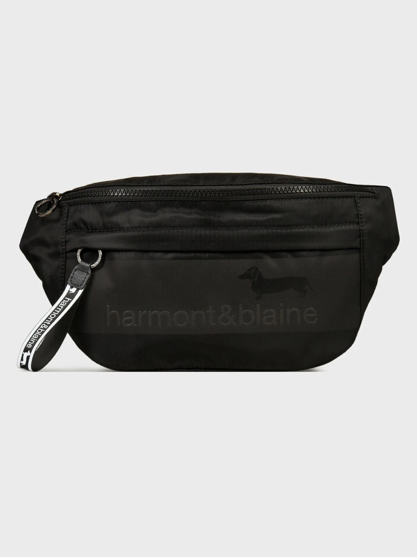 Сумки Harmont&Blaine модель H2DPMH040032999 Фото