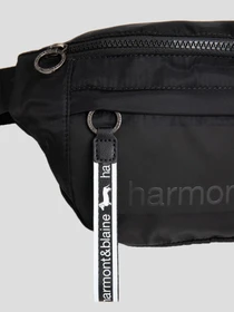 Сумки Harmont&Blaine модель H2DPMH040032999 Фото