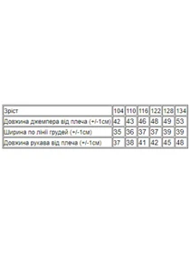 Худі та світшоти Носи своє модель 6069-057-33-5-grchicq-zrka Фото