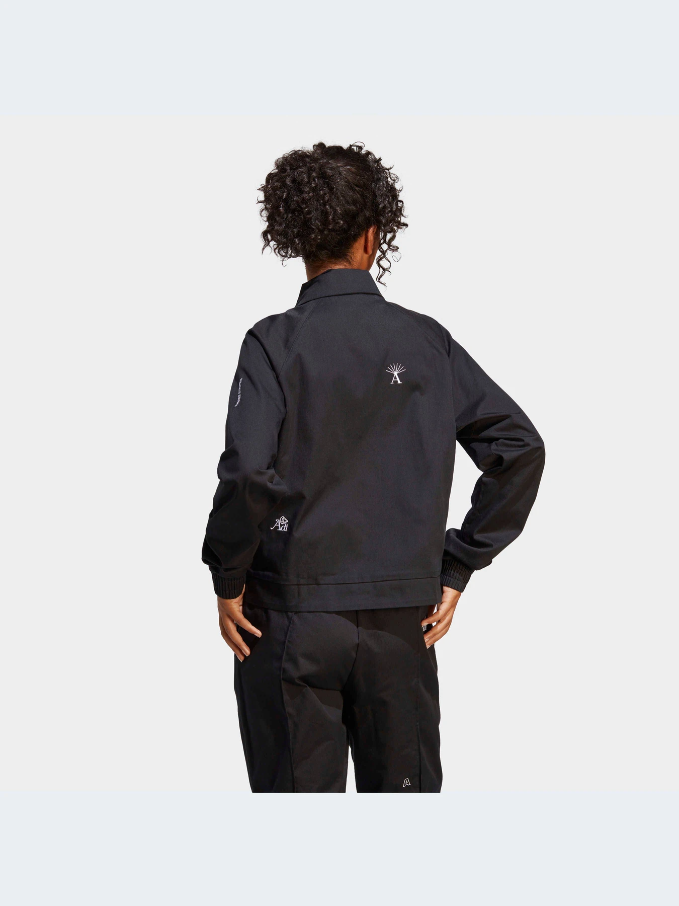 Куртки и дубленки Adidas Graphics модель IC0800 Фото