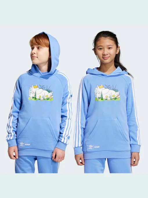 Худи и свитшоты Adidas модель IC5667 Фото