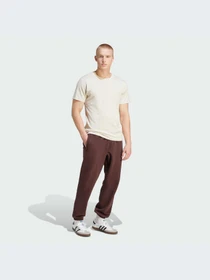 Брюки Adidas Adicolor модель IM4406 Фото