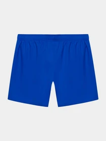 Одежда для пляжа PUMA Swim Men Mid Shorts 1p модель 935088 Фото