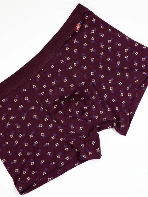Нижнее белье ISSA Plus модель GN5-215_burgundy Фото