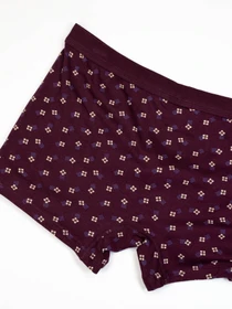 Нижнее белье ISSA Plus модель GN5-215_burgundy Фото