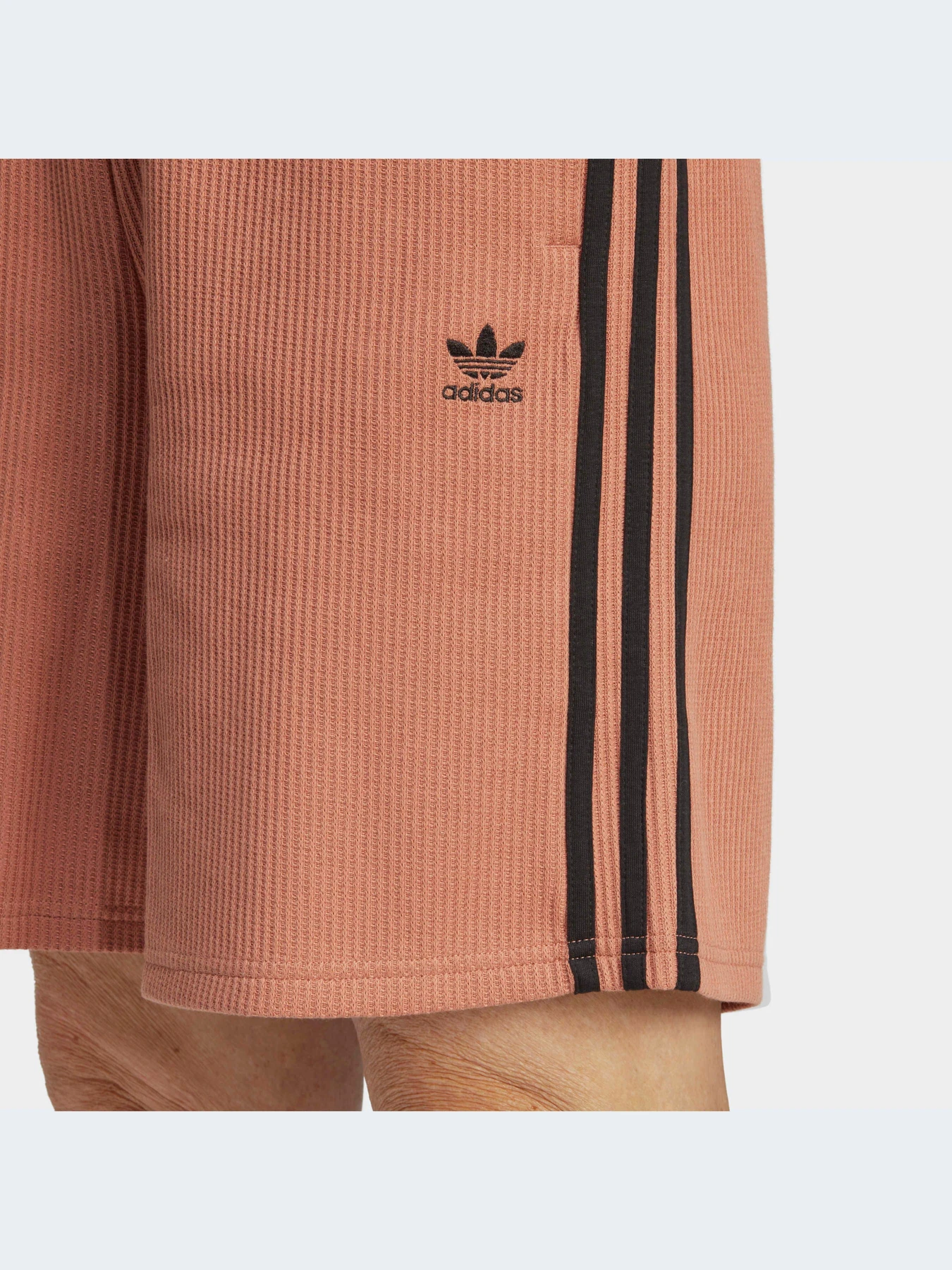 Шорти Adidas Adicolor модель IC5451 Фото