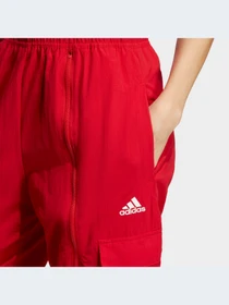 Брюки Adidas модель IC6658 Фото
