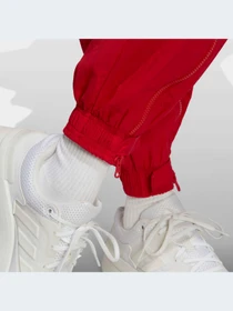 Брюки Adidas модель IC6658 Фото