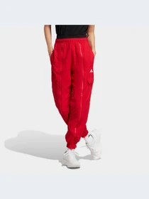 Брюки Adidas модель IC6658 Фото