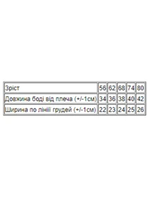 Одежда для младенцев Носи своє модель 5048-002-5-zajka-mentol Фото
