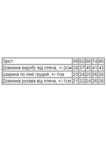 Одежда для младенцев Носи своє модель 5010-036-5-foletovij Фото