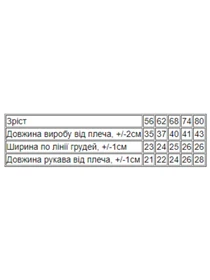 Одяг для немовлят Носи своє модель 5010-036-4-sro-blakitnij Фото