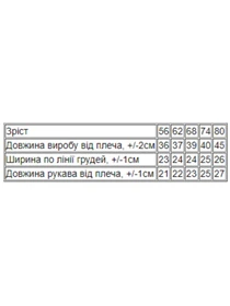 Одяг для немовлят Носи своє модель 5010-036-33-4-blakitnij-zhachok Фото