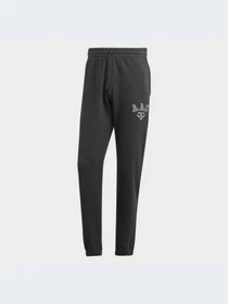 Брюки Adidas модель HZ0698 Фото