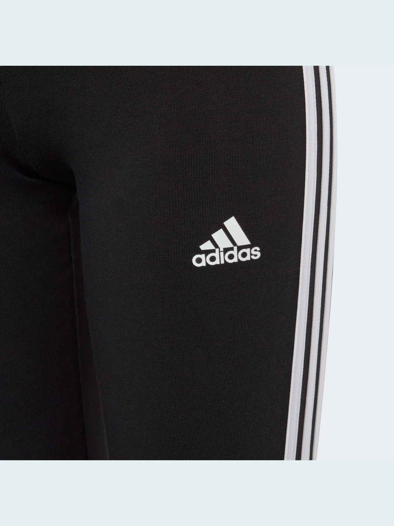 Штани Adidas модель IC3623 Фото