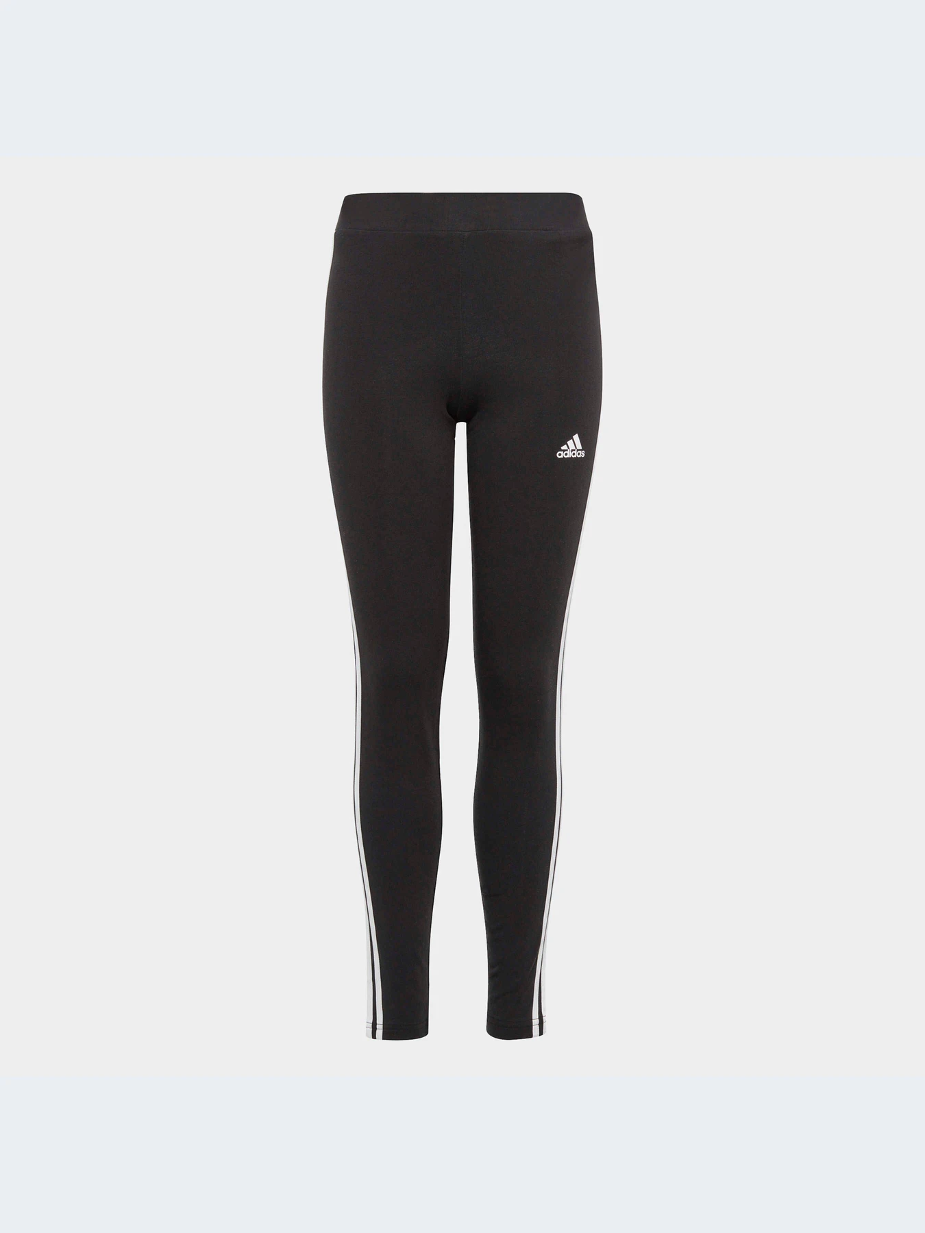 Штани Adidas модель IC3623 Фото