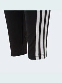 Штани Adidas модель IC3623 Фото