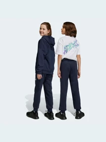 Брюки Adidas модель HR6383 Фото