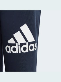 Брюки Adidas модель HR6383 Фото