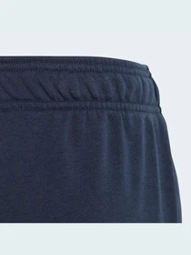 Брюки Adidas модель HR6383 Фото