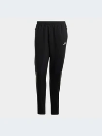 Брюки Adidas модель HR6611 Фото