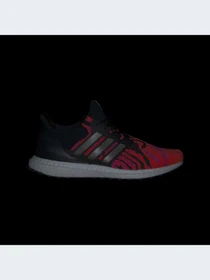 Кросівки Adidas Ultraboost модель IG7310 Фото